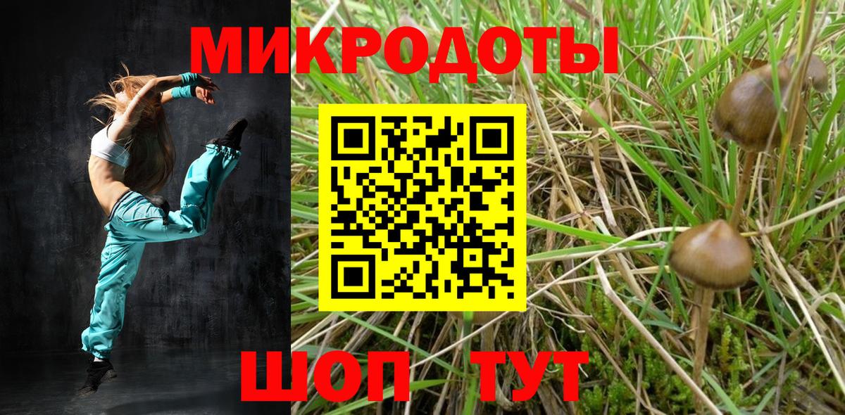Псилоцибиновые грибы Magic Shrooms Тимашёвск