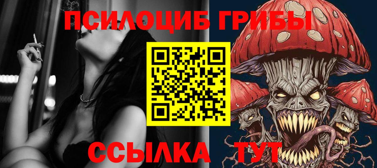 Тимашёвск  Псилоцибиновые грибы Magic Shrooms  Вход с VPN 